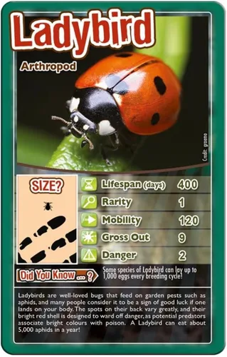 Miniatura 3 de Top Trumps Juego de cartas Bugs - Juegos familiares para niños y adultos - Juegos de aprendizaje - Juegos de cartas para niños 2 y más
