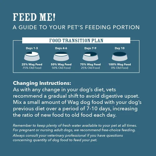 Miniatura 6 de Marca Amazon - Wag Nutrición Premium para Perros Adultos, Alimento Seco, Apoya la Salud del Estómago y la Piel, Carne de Res y Arroz Integral, Bolsa
