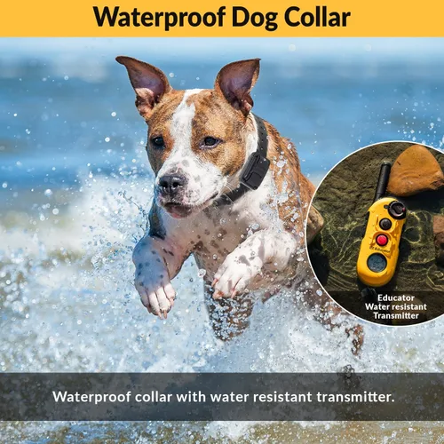 Miniatura 5 de E-Collar Educator EZ-900 - Collar de entrenamiento de perros de 1/2 milla para perros Sm & Med (más de 10 libras) - Control remoto LCD ergonómico