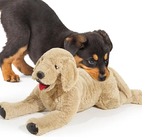 Miniatura 7 de Geosar Animales de peluche de perro de 15.7 pulgadas, suaves juguetes de peluche Golden Retriever, almohada de peluche grande para abrazar, regalos