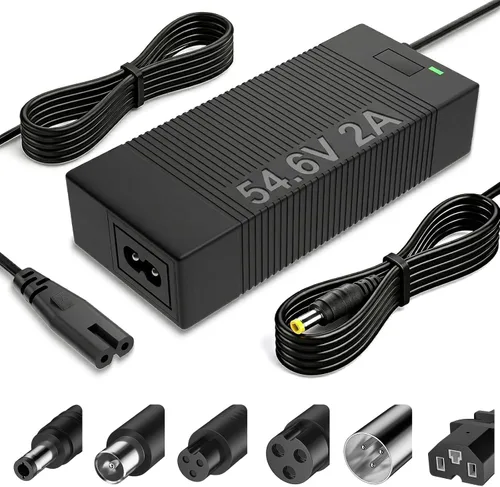 Cargador eléctrico de 54.6 V 2 A para batería de litio de 48 V de bicicleta eléctrica (batería de iones de litio de 13S), cargador de bicicleta