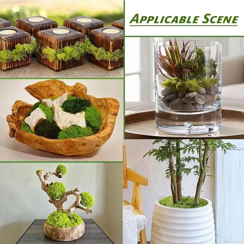 Miniatura 5 de Aiareozy Musgo falso de 3.5 onzas, musgo verde falso para plantas en maceta, musgo artificial para manualidades, musgo verde para decoración