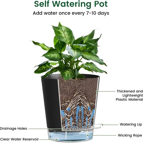 Miniatura 4 de Meowell Macetas de riego automático de 5 pulgadas para plantas de interior, paquete de 5 macetas pequeñas con agujeros de drenaje y depósito