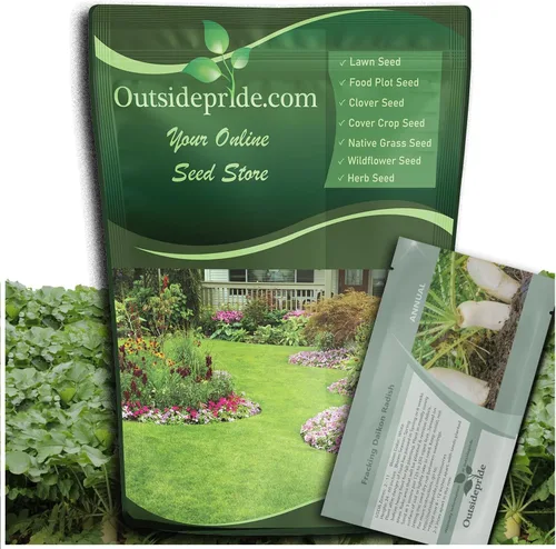 Outsidepride Semillas anuales de rábano Daikon – 5 libras. Semillas de rábano chino, japonés y oriental para la salud del suelo, control de la