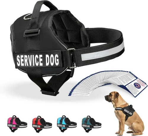 Miniatura 16 de Arnés Industrial Puppy para perros con correas y asa, y chaleco con parche reflectante, en un cómodo diseño de malla, Bright Red 2-Rojo Brillante