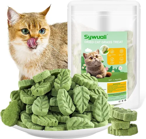 50g/1.76oz Hierba para gatos, palo de dentición de hierba para gatos para eliminar bolas de pelo y limpieza de dientes, snack de palo de hierba