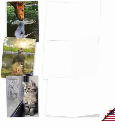Miniatura 4 de The Best Card Company Juego de 20 tarjetas de notas en blanco surtidas de 4 x 5.12 pulgadas con sobres para hombres, mujeres (diseños de 10 x 2)