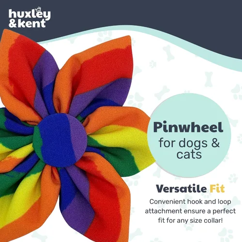 Miniatura 8 de Huxley & Kent Molinete para mascotas Igualdad (pequeño) Accesorio de collar de orgullo para perros/gatos Accesorio para mascotas divertido