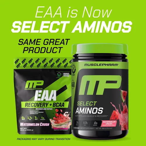 Miniatura 2 de MusclePharm Select Amino's Amino's EAA + BCAAs, polvo de aminoácidos esenciales después del entrenamiento, suplemento energético preentrenamiento