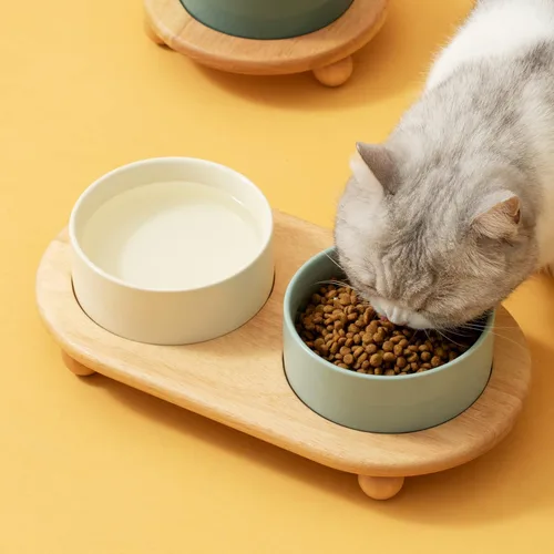 Miniatura 7 de Havniva - Cuenco de cerámica elevado para comida y agua de gatos, cuenco para gatitos, plato elevado para gatos, alimentador para mascotas