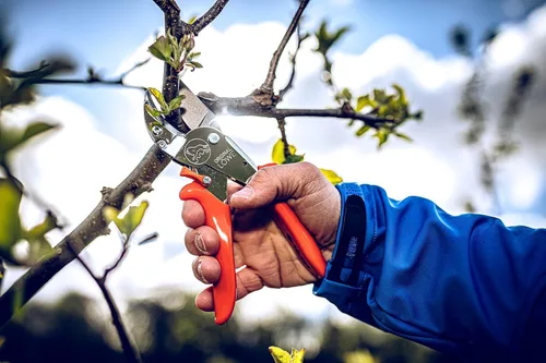 Miniatura 2 de Original LÖWE 10 tijeras de podar de yunque profesionales 10.107 con geometría de derivación – Tijeras afiladas innovadoras con asas ergonómicas