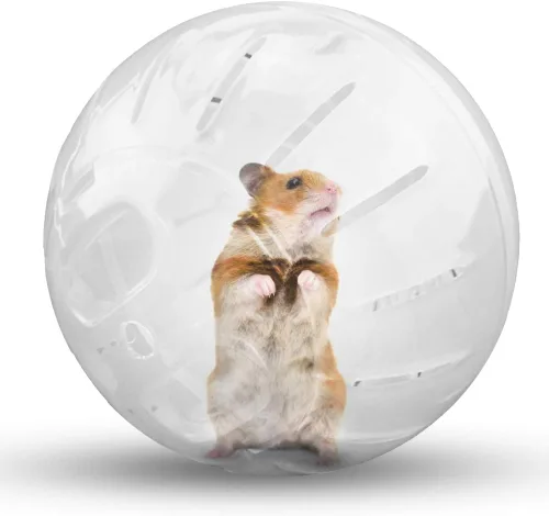 Miniatura 7 de Bola de ejercicio para hámster, rueda silenciosa para hámster, bola transparente para animales pequeños, para rata Dwar, alivia el aburrimiento