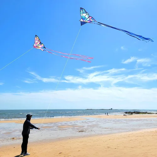 Miniatura 6 de Simxkai Cometa de mariposa para niños y adultos, fácil de volar azul cometa grande para principiantes, mango de línea incluido