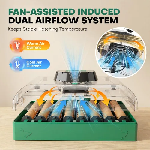Miniatura 7 de Incubadoras para incubar huevos, incubadora de 72 huevos con girador automático de huevos y control de humedad y temperatura digital, visión clara