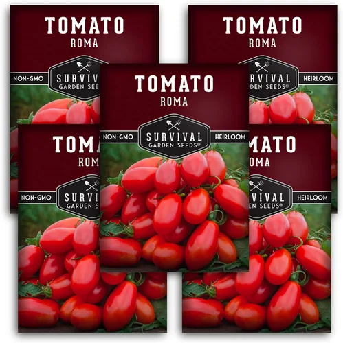Miniatura 12 de Semillas de tomate Roma para plantar, variedad de pasta de reliquia determinada para salsa y enlatado, tomates italianos productivos, polinizados