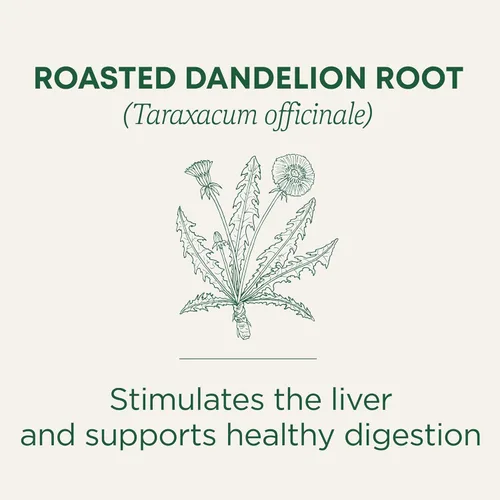 Miniatura 3 de Traditional Medicinals Té, raíz de diente de león tostado orgánico, apoya la función renal y la digestión saludable, 16 bolsas de té