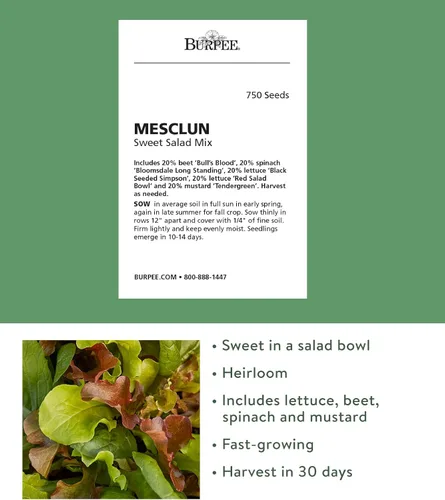 Miniatura 2 de Burpee Sweet Salad Mix Mesclun Seeds 750 semillas