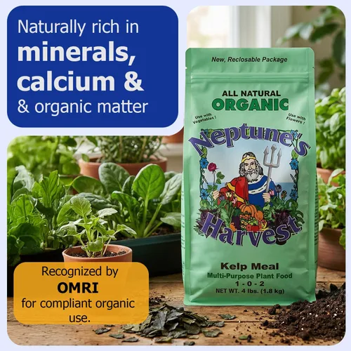 Miniatura 2 de Neptune's Harvest Alimento orgánico para plantas de algas marinas (1-0-2) – Bolsa resellable de 4 libras – Fertilizante multiusos de algas marinas