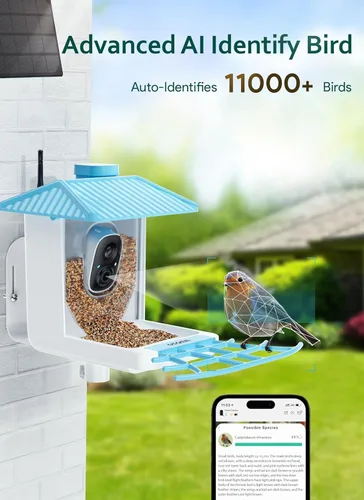 Miniatura 3 de Osoeri Comedero para pájaros con cámara, alimentador solar inteligente para pájaros con identificación de IA, video de captura automática HD de Azul