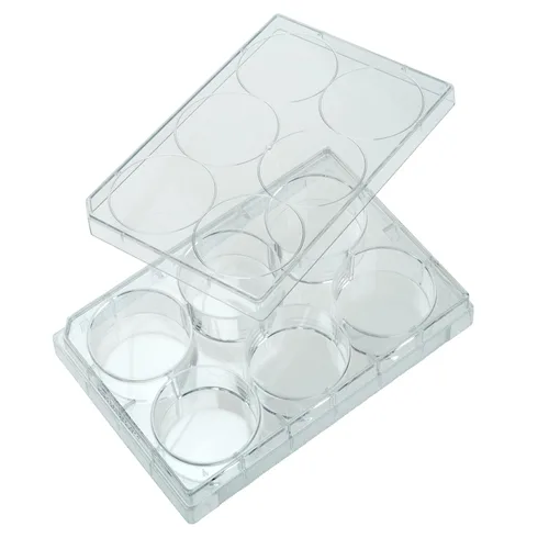 Miniatura 6 de Celltreat 229195 96 Placa de cultivo de tejidos de poliestireno transparente con tapa, estéril, área de crecimiento celular de 0.1 in², fondo plano
