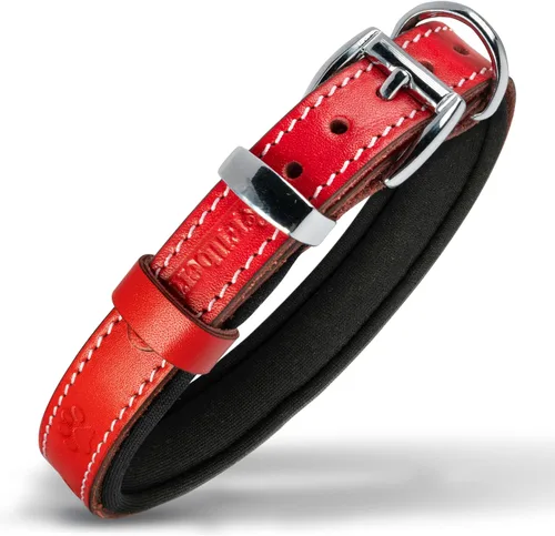 Miniatura 23 de Filbert Collar de cuero para perro, collar de cuero genuino para perros pequeños, estampado de patas en relieve con hebilla, grano completo curtido