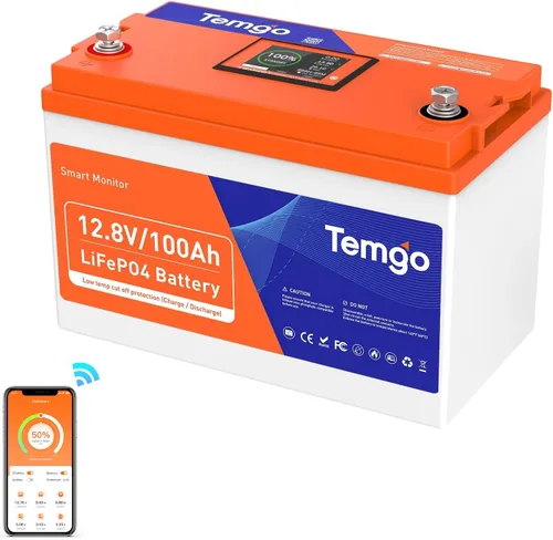 TEMGO Batería de litio LiFePO4 de 12 V/100 Ah con corte de baja temperatura, pantalla inteligente táctil y monitoreo por APP, BMS de 100 A