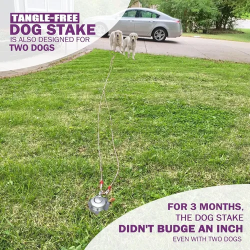 Miniatura 6 de Anclaje giratorio de 360° para perro. Repuesto de por vida. Estaca pesada para perro a prueba de óxido, Anclaje para gatos con capacidad para 1000