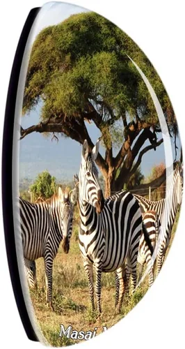 Miniatura 2 de Kenia Masai Mara Zebras Safari Frigorífico Imán 3D Cristal Turístico Ciudad Viaje Recuerdo Colección Regalo Fuerte Etiqueta Adhesiva Refrigerador
