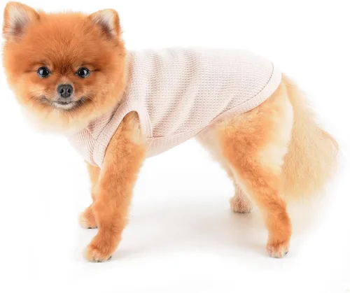 Miniatura 2 de SMALLLEE_LUCKY_STORE Camiseta sin mangas de punto gofre con bonito oso para cachorros, para perros pequeños, gatos, niños y niñas, camiseta