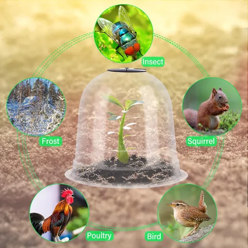 Miniatura 5 de Zopeal 20 cúpulas pequeñas de humedad para plantas de jardín, 7.68 pulgadas de diámetro x 6.7 pulgadas de alto, cubiertas protectoras de heladas