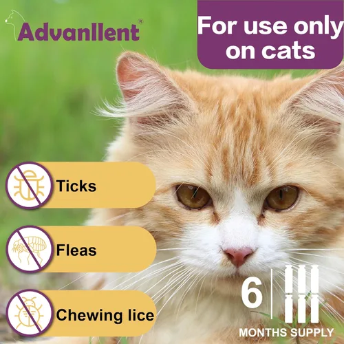 Miniatura 2 de Prevención de pulgas y garrapatas para gatos, tratamiento de pulgas y garrapatas para gatos gatitos, control de pulgas y garrapatas, más de 1.5