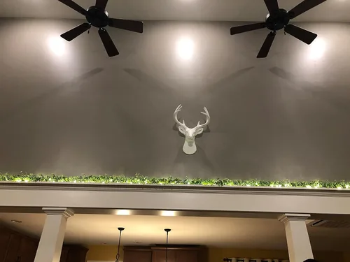 Miniatura 8 de Cabeza de ciervo, decoración de pared de Wall Charmers. Busto de imitación de taxidermia, metalizado, fabricado en resina, Poliresina, Blanco, L