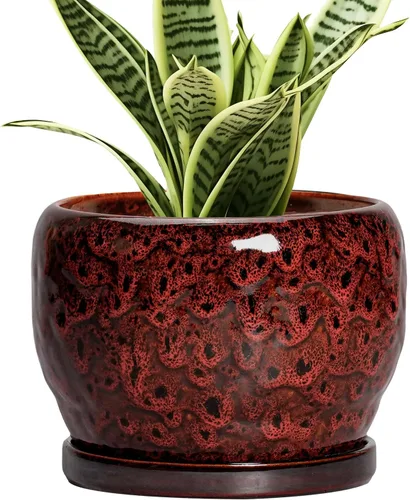 Miniatura 59 de SQOWL Maceta de cerámica para plantas - Maceta de cerámica de 6 pulgadas para interiores y exteriores, maceta decorativa para plantas con orificio