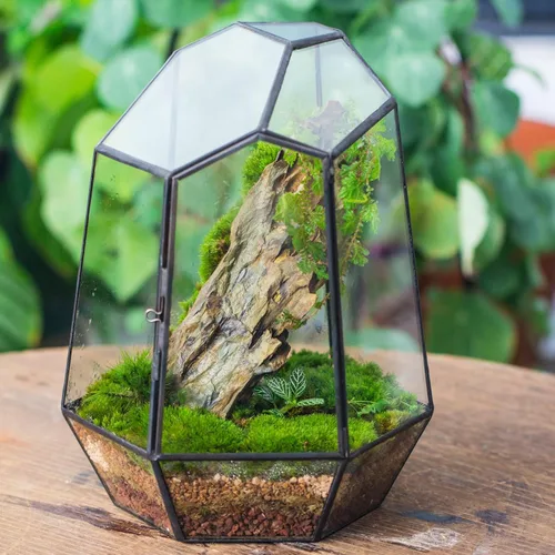 Miniatura 2 de NCYP Cerrar Terrario geométrico de vidrio con puerta, maceta irregular de 9.8 pulgadas de alto para suculentas, cactus pequeños, decoración moderna
