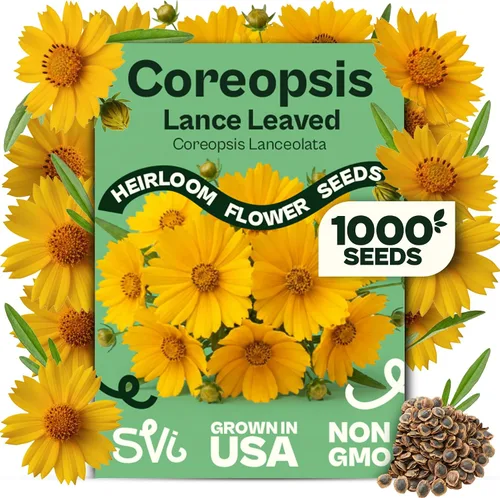 Miniatura 11 de Queen Anne 's Lace- 200 semillas – 50% de descuento venta