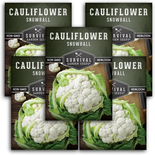 Miniatura 11 de Semillas de coliflor para plantar, variedad blanca reliquia de bola de nieve, cultivo de temporada corta resistente al frío para jardines