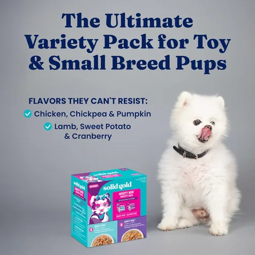 Miniatura 3 de Solid Gold Comida Húmeda para Perros para Perros Pequeños - Comida Sin Granos para Perros Pequeños Receta Húmeda con Pollo, Cordero y Superalimentos
