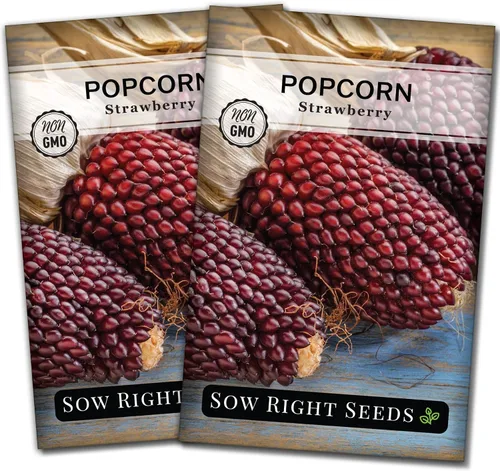 Miniatura 7 de Sow Right Seeds - Semilla de maíz de fresa para plantar - Paquete de reliquia sin OMG con instrucciones para plantar un huerto casero - Cultiva tus
