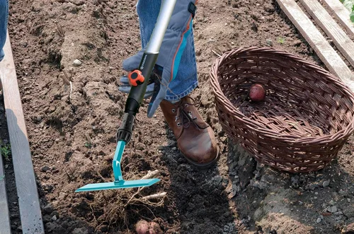 Miniatura 2 de Gardena combisystem - Azada de empuje y tracción GARDEX: accesorio de jardín para trabajos de suelo como camas de deshierbe y caminos, 5.5 in