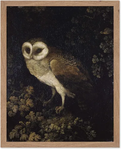Miniatura 9 de Poster Master Póster vintage de búho – Impresión de pintura retro de búho – Arte Moody – Arte de pájaro – Gran regalo para hombres, mujeres, amantes
