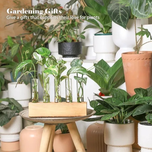 Miniatura 2 de KAXYEW - Estación de propagación de plantas, tubos de propagación de plantas, regalos para amantes de las plantas, soporte de tubo de ensayo, jarrón