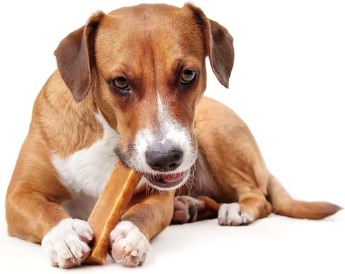 Miniatura 3 de PIMA - Masticables de queso canino, masticables naturales de yak para perros de 65 libras o menos, sin lactosa, de larga duración con proteínas