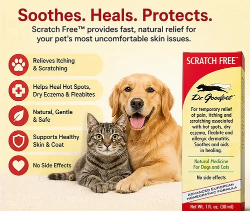 Miniatura 3 de Dr. Goodpet Libre de arañazos para perros y gatos – Gotas naturales para aliviar la picazón para puntos calientes, alergias, picaduras de pulgas