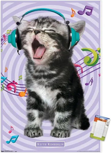 Miniatura 14 de Trends International Keith Kimberlin - Gato - Póster de pared cantando, 14.725 x 22.375 pulgadas, versión con marco de madera tipo granero
