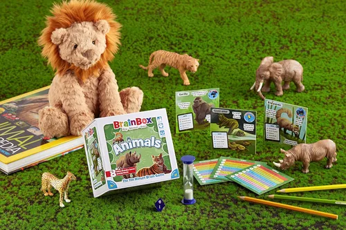 Miniatura 8 de BrainBox - Juego de cartas de animales – Memoria y observación, 55 tarjetas de escenas detalladas, trivia familiar para niños y adultos, a partir