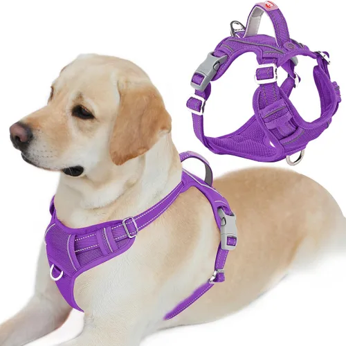 Miniatura 59 de BARKBAY Arnés para perro sin tirones con bolsillo para etiqueta de identificación, resistente, reflectante, fácil control para perros grandes