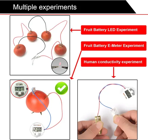 Miniatura 4 de Kit de experimento de batería de frutas EUDAX para equipo de enseñanza escolar y en casa de bricolaje, kit de proyecto de ciencia de reloj