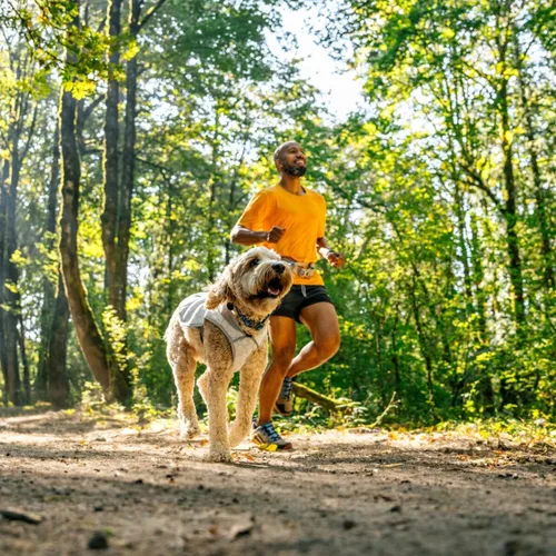 Miniatura 4 de Ruffwear, Swamp Cooler - Chaleco para perro, enfriamiento evaporativo para climas cálidos, compatible con la mayoría de arneses, azul biolumina