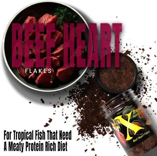 Miniatura 4 de Xtreme Beef Heart Flakes - Alto contenido en proteínas, rico en nutrientes para peces tropicales y de agua dulce, apoya el crecimiento, mejora