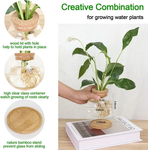 Miniatura 2 de Estación de Propagación de Plantas CHPINDAM, Jarrones de Contenedor de Vidrio Hidropónico, con Plato de Madera para Escritorios, Casas, Decoraciones
